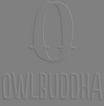  OwlBuddha, home to Brands like First Crazy apparel, B.U.M.S apparel, EastWear apparel and Blac Dollarz + Sense apparel