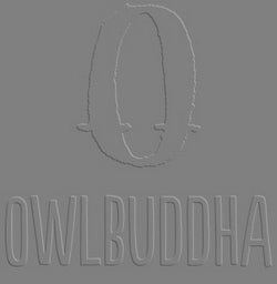  OwlBuddha, home to Brands like First Crazy apparel, B.U.M.S apparel, EastWear apparel and Blac Dollarz + Sense apparel